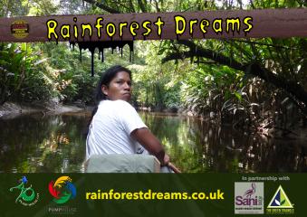 Rainforest Dreams